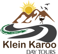 Logo KKDT_transparent